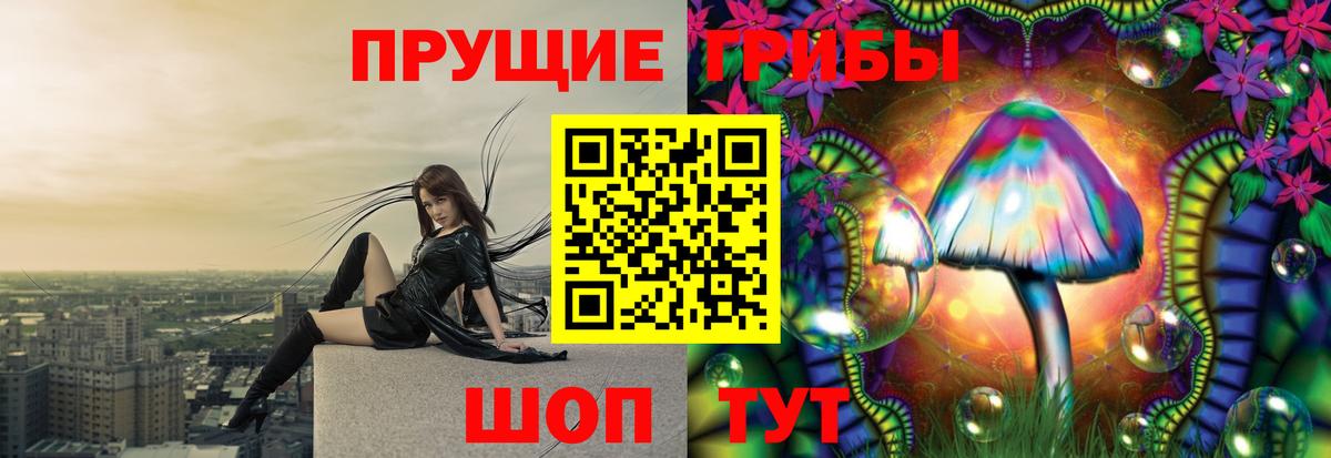 Фролово  Псилоцибиновые грибы Psilocybe  Псилоцибиновые грибы мицелий  Вход с VPN 